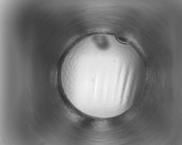 X0000070880110200606302148