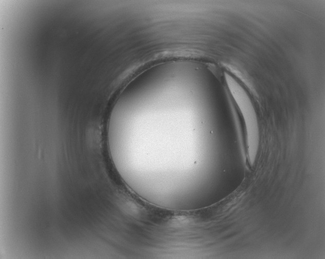 X0000070880111200606302148