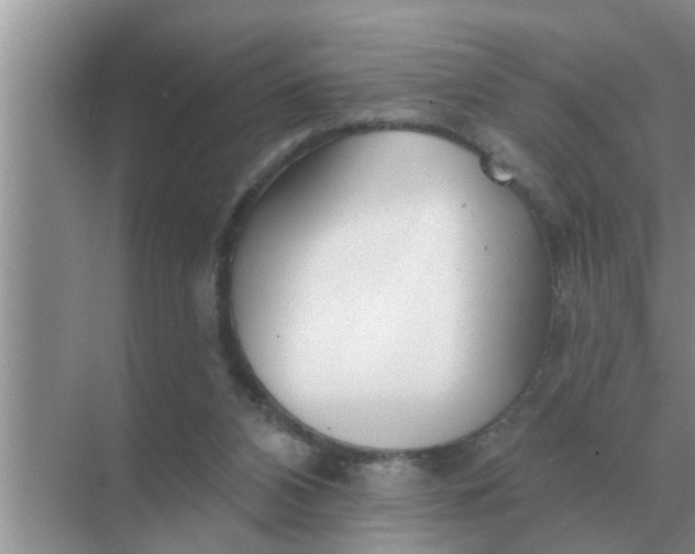 X0000070880112200606302147