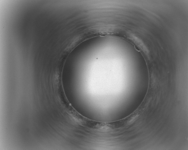 X0000070880113200606302147