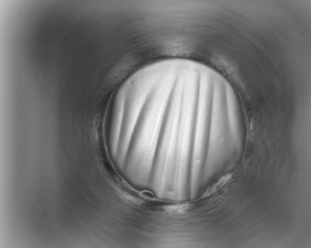 X0000070880114200606302147