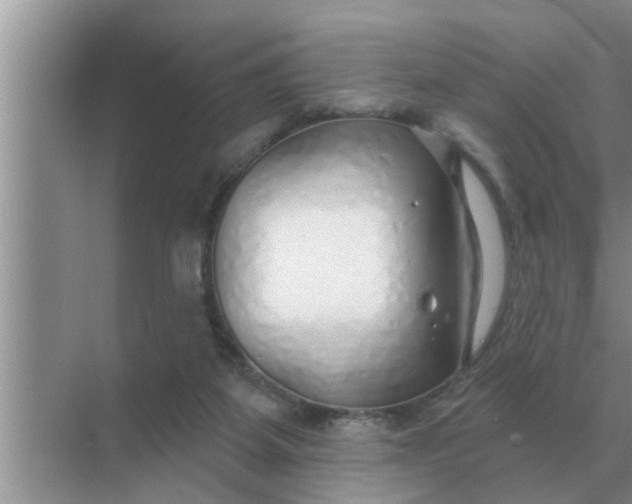 X0000070880115200606302147