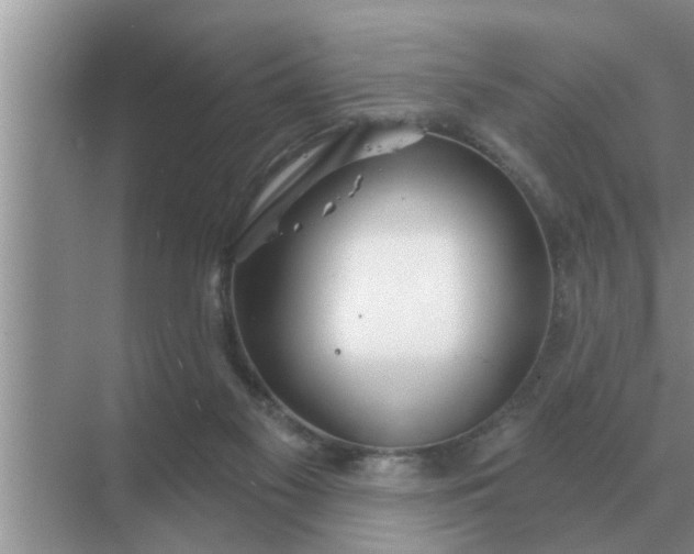 X0000070880117200606302147