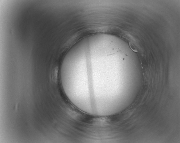 X0000070880118200606302147