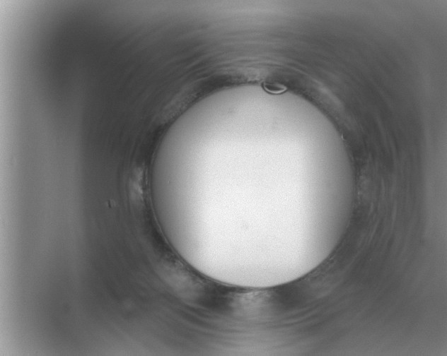 X0000070880122200606302147