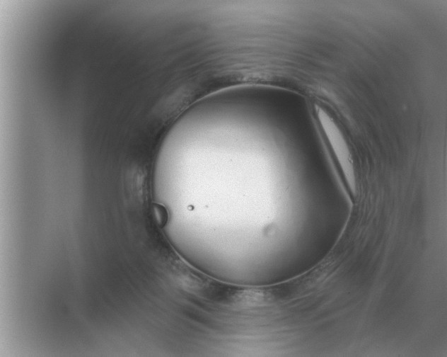 X0000070880123200606302147