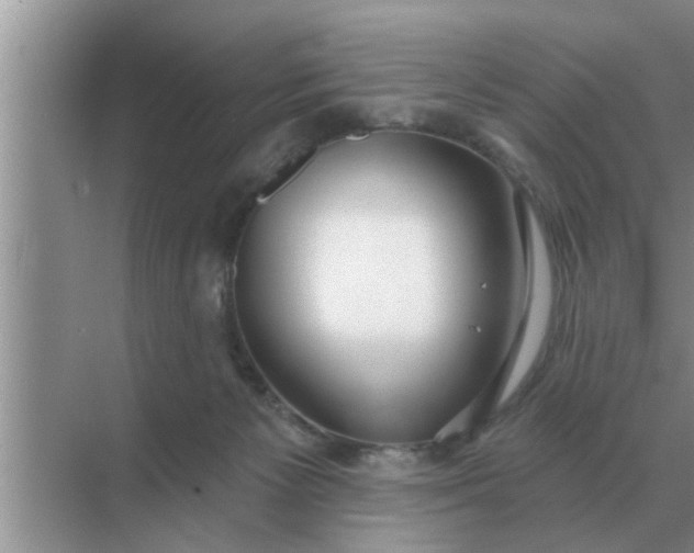 X0000070880125200606302147