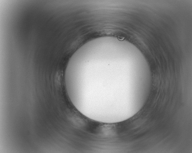 X0000070880126200606302147