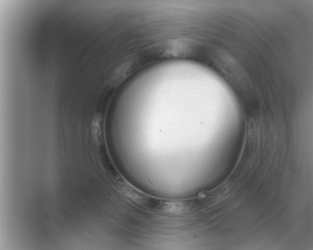 X0000070880127200606302147