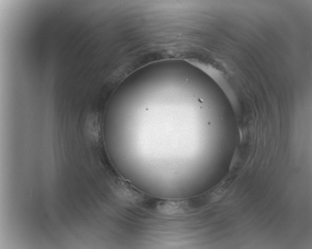 X0000070880129200606302147