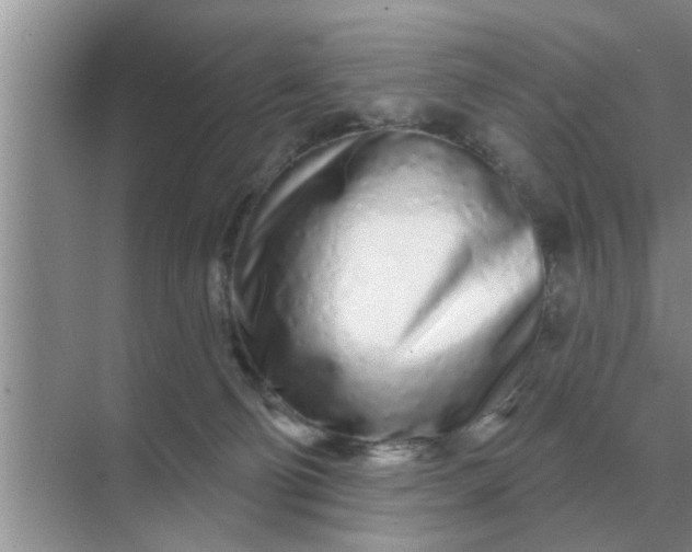 X0000070880130200606302147