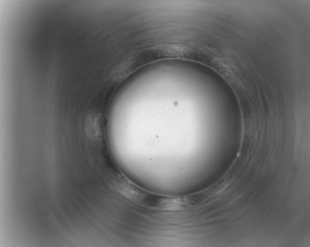 X0000070880131200606302147