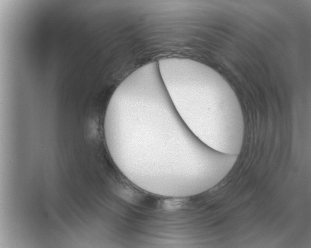 X0000070880134200606302147