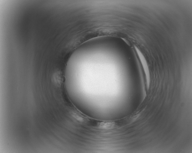 X0000070880135200606302147