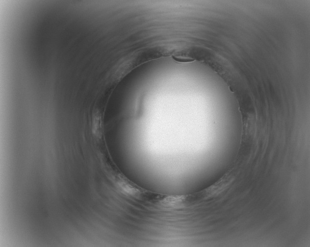 X0000070880138200606302147