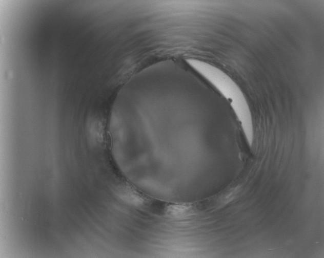 X0000070880139200606302147