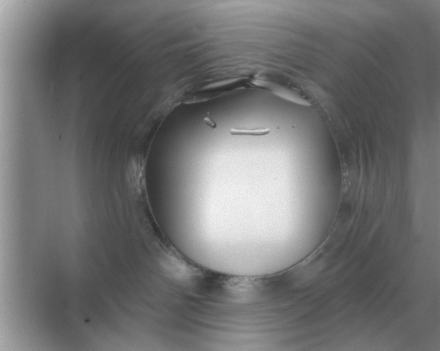 X0000070880142200606302147