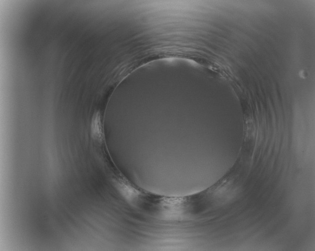 X0000070880143200606302147