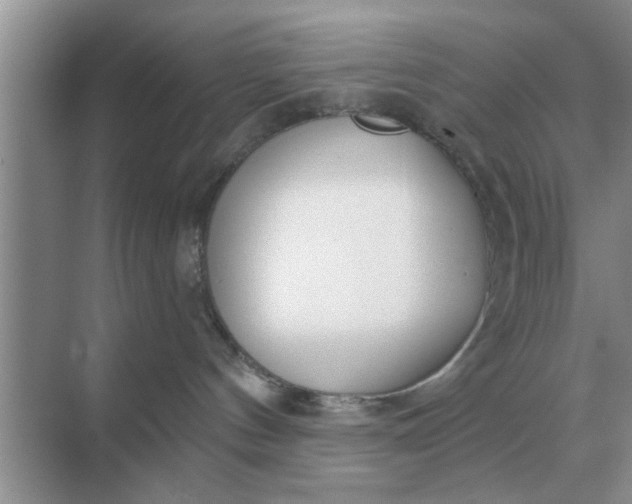 X0000070880144200606302147