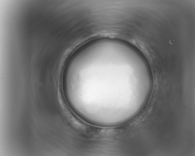 X0000070880145200606302146