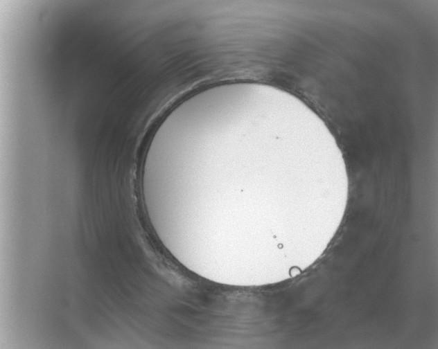 X0000070880146200606302146