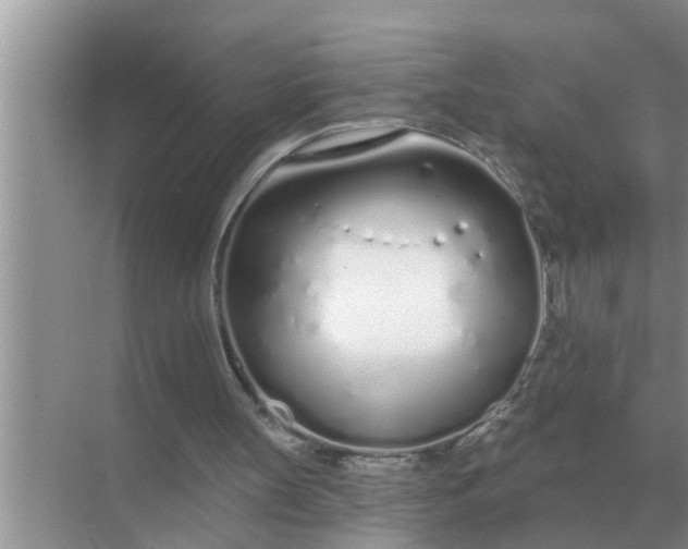 X0000070880147200606302146