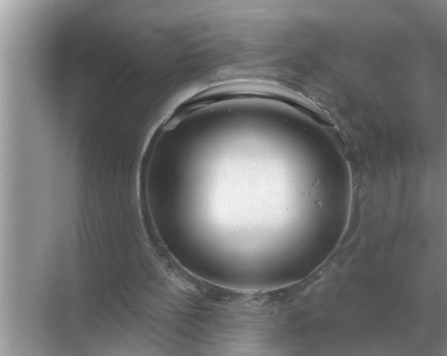 X0000070880148200606302146