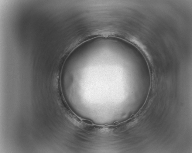 X0000070880153200606302146