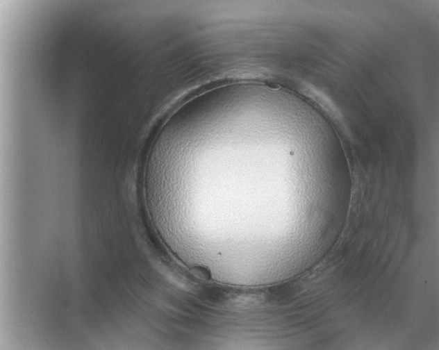 X0000070880155200606302146