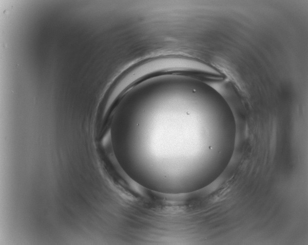 X0000070880156200606302146