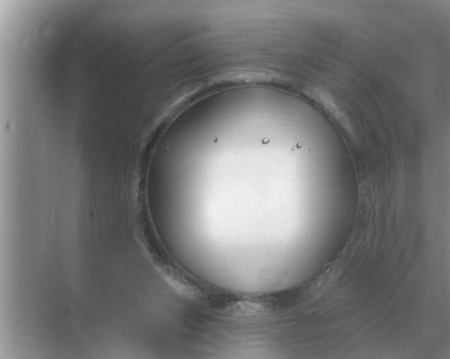 X0000070880159200606302146