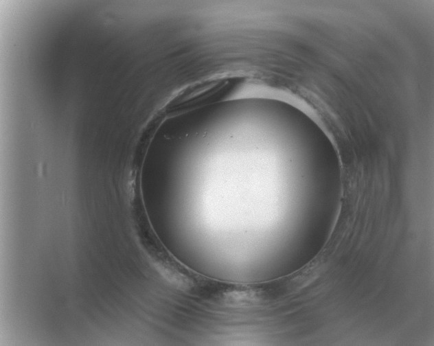 X0000070880160200606302146