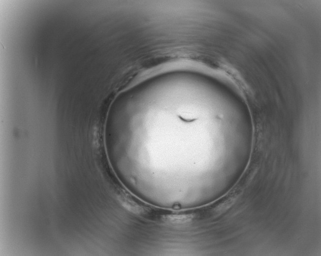 X0000070880161200606302146