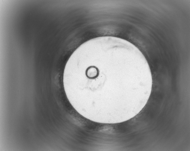 X0000070880162200606302146