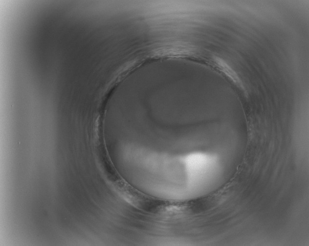 X0000070880163200606302146