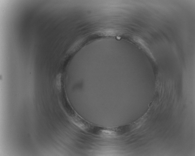 X0000070880167200606302147