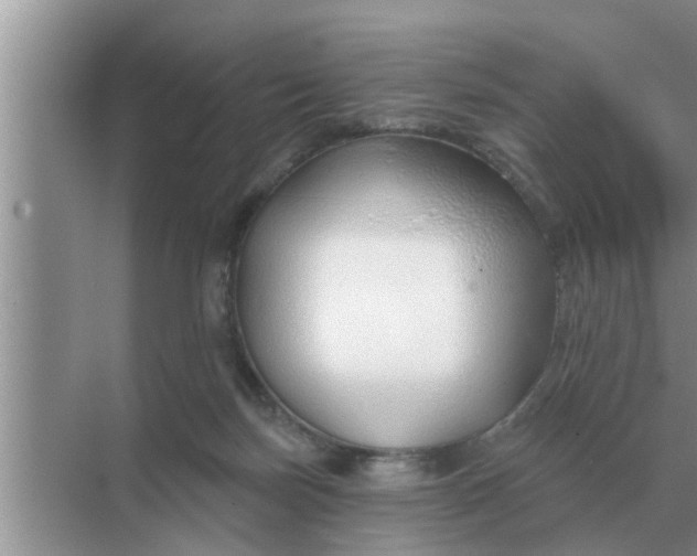 X0000070880171200606302147