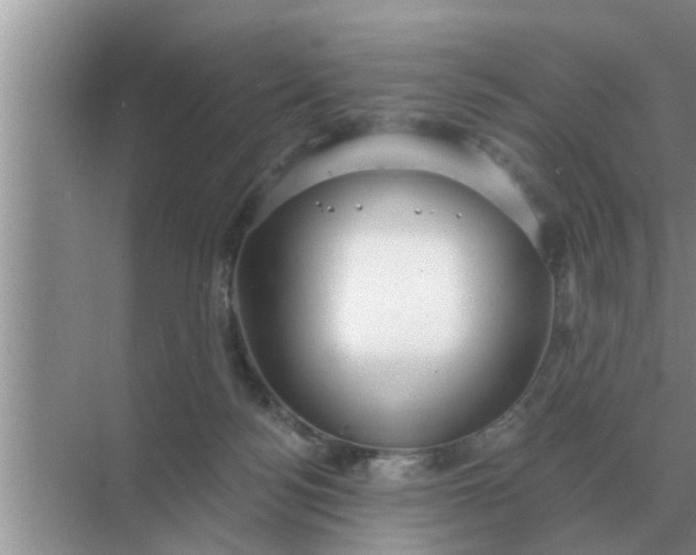 X0000070880172200606302147