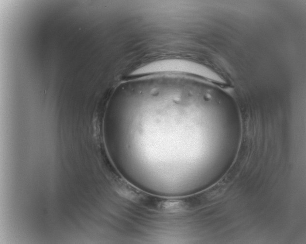 X0000070880173200606302147