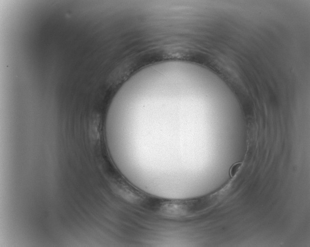 X0000070880174200606302147