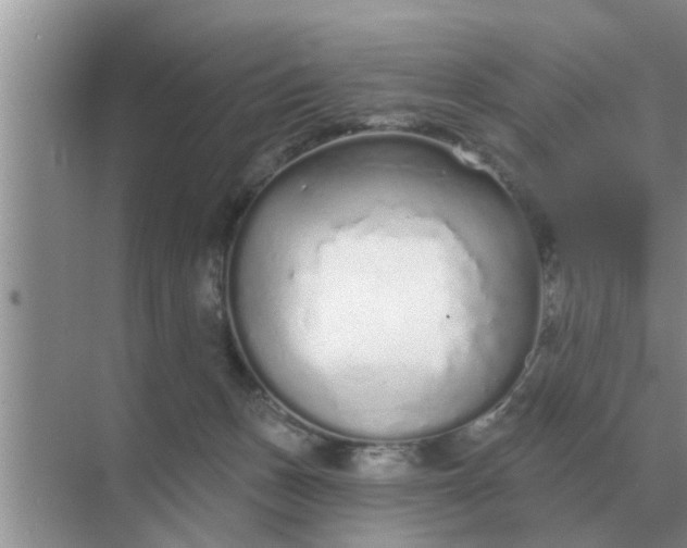 X0000070880175200606302147