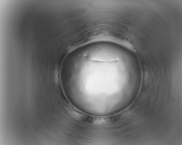 X0000070880177200606302147