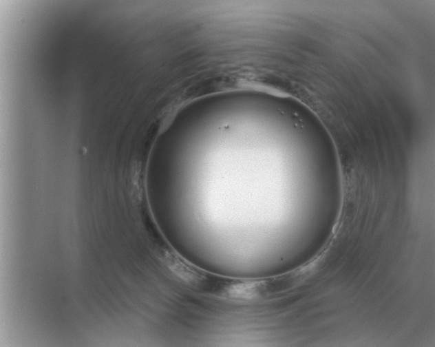 X0000070880178200606302147