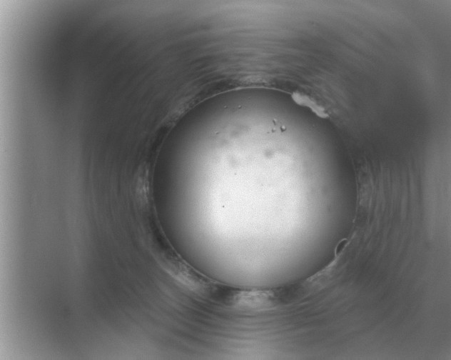 X0000070880179200606302147