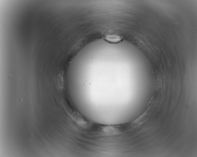 X0000070880183200606302147