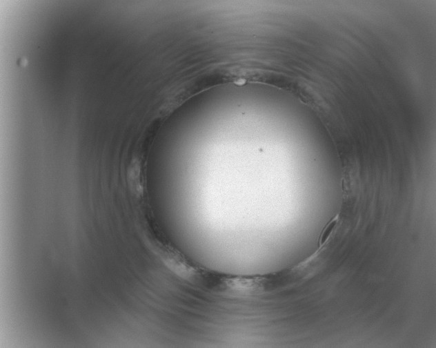 X0000070880187200606302147