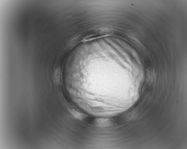 X0000070880189200606302147