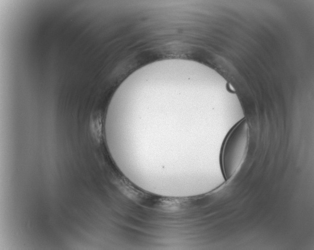 X0000070880190200606302147