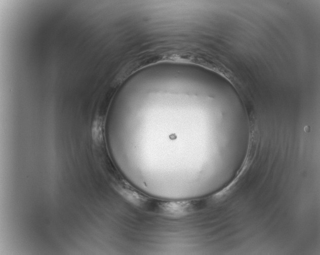 X0000070880191200606302147