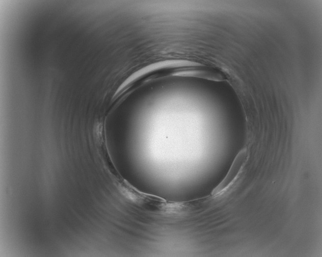 X0000070880192200606302147